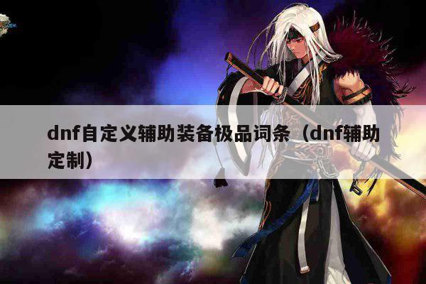 dnf自定义辅助装备极品词条（dnf辅助定制）