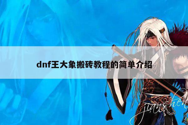 dnf王大象搬砖教程