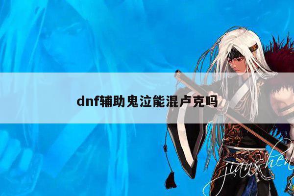 dnf辅助鬼泣能混卢克吗