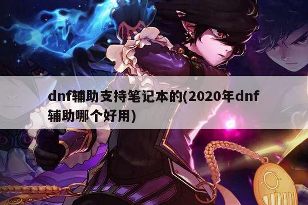 dnf辅助支持笔记本的(2020年dnf辅助哪个好用)